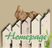Home of Waggs-n-Whiskers Pet Sitting Service