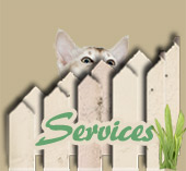 Pet Sitting Services