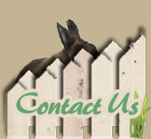 Contact Wagg's-N-Whisker's