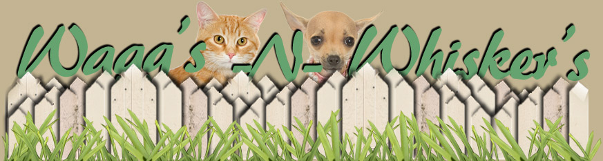 Waggs-n-Whiskers Pet Sitting Service